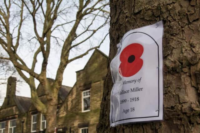 The trees were planted to remember those killed in the First World War.
