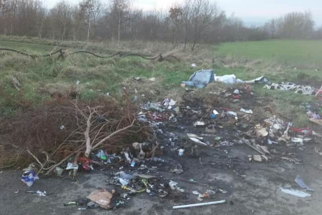 Some of the rubbish near Arbourthorne Pond.