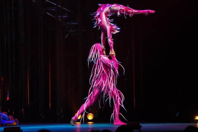 Yorkshire gymnast Emily McCarthy in Cirque du Soleil's spectacular Varekai, Tales of The Forest - at Sheffield Arena from Thursday to Sunday, February 2 to 5.