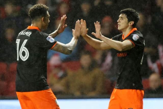Fernando Forestieri celebrates his goal with Liam Palmer