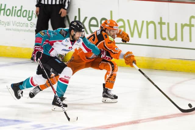 Sheffield Steelers v Belfast Giants
Steelers Levi Nelson reaches out for the puck