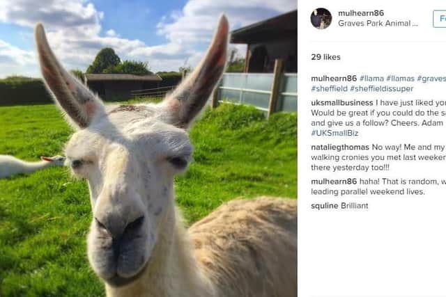 Graves Park topped Sheffield Instagram tourism attractions