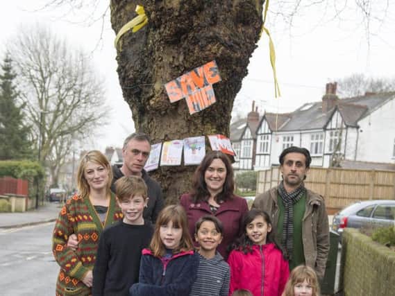 Residents want to save the tree.