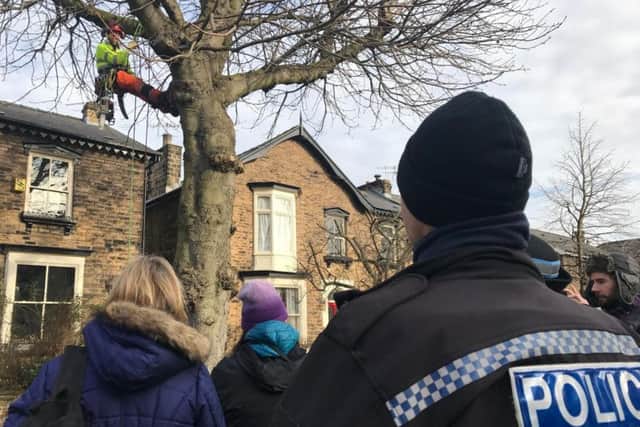 Police and protesters look on as a tree surgeon attempts to begin work felling the horse chestnut in Chippinghouse Road
