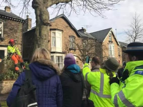 Tree felling protesters in Nether Edge.