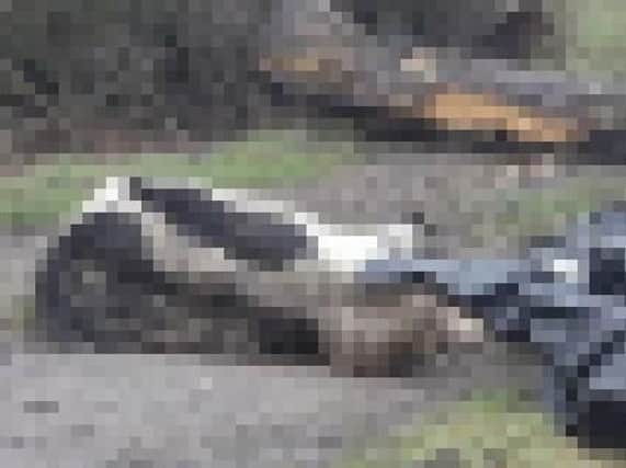 A pixellated image of the dead horse.