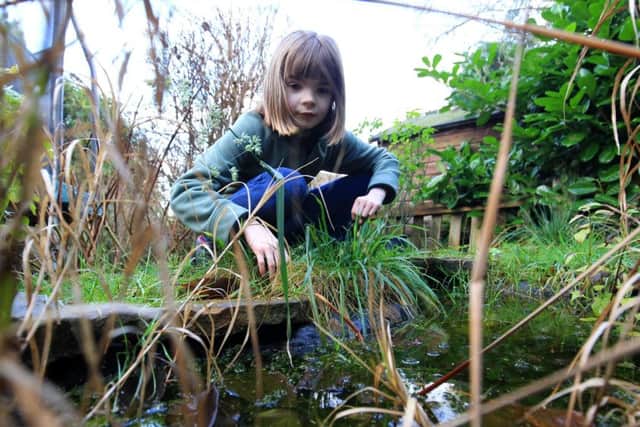Seven year old Ivy Jerrery wants to be a journalist and has big plans for her future. She writes newsletters and films her own videos and loves the idea of making wildlife documentaries. Ivy is pictured looking for wildlife in her garden pond. Picture: Chris Etchells