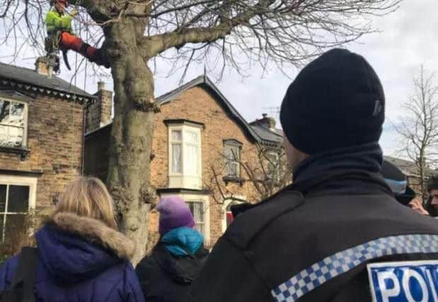 Police and protesters at the scene of the tree-felling on Chippinghouse Road on February 6. Photo: Marisa Cashill/The Star