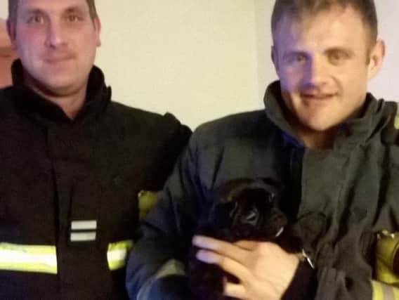 Firefighters with the rescued puppy