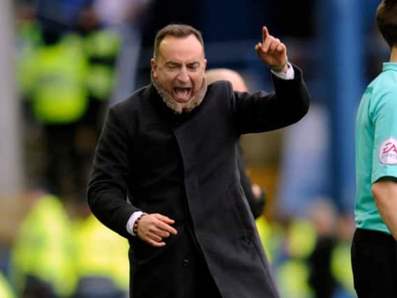 A cheer from Carlos Carvalhal at the final whistle after Sheffield Wednesday's 5-1 win over Norwich City