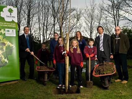 Trees for Cities planting in Sheffield in 2008.