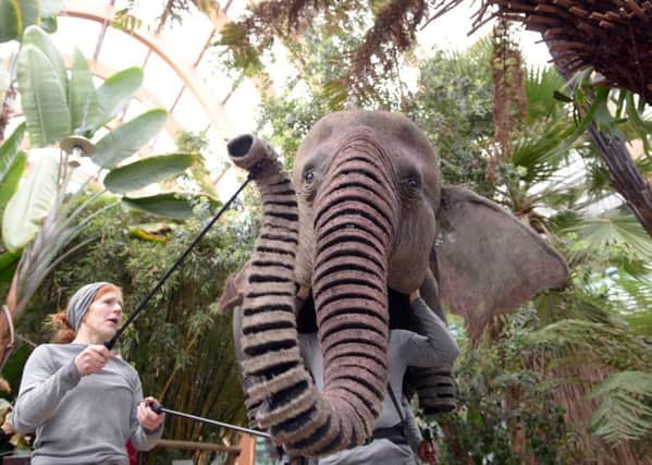 Oona the Elephant in Sheffield Winter Gardens for forthcoming Running Wild at the Lyceum