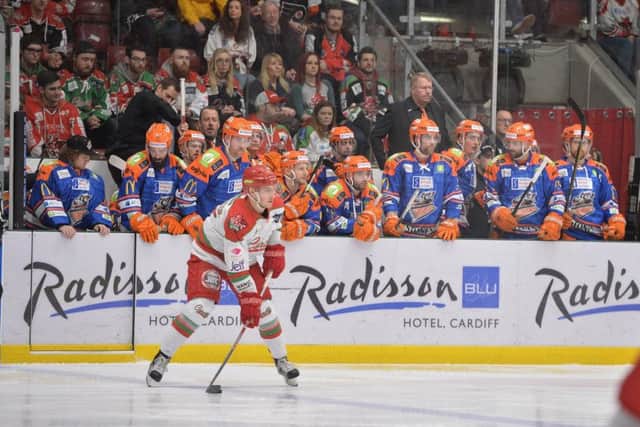 Sheffield Steelers have respect but no fear of Cardiff Devils