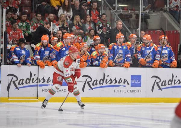 Sheffield Steelers have respect but no fear of Cardiff Devils
