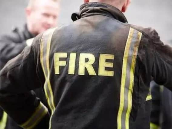 The fire service have appealed for help to trace the owner of a Goshawk bird firefighters 'helped out of a tree' in a Doncaster village this evening.