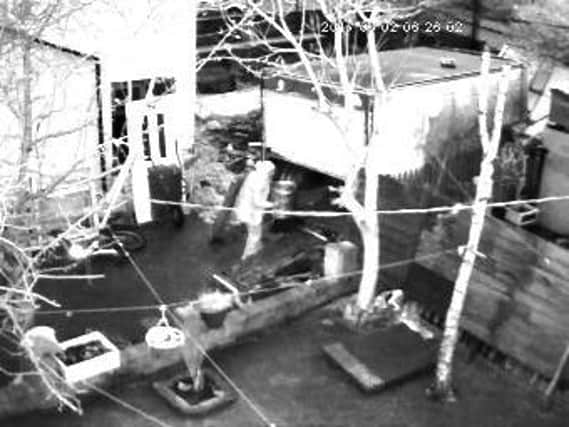 CCTV of the incident (s)