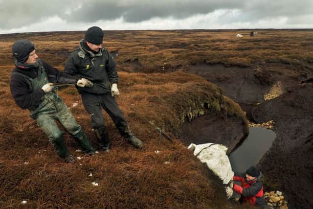 National Trust gully blocking work near Coldwell Clough on Howden Moors: rangers Keith Hawkes (left) and Steven Hodson pulling stones up from Steve Lindop in the gully