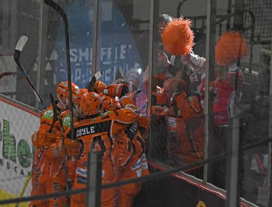 Sheffield Steelers' players celebrate Rob Dowd's goal against Cardiff Devils.