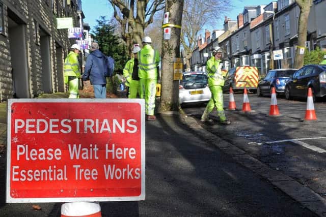 Streets Ahead contractors explore the roots of trees in Western Road.