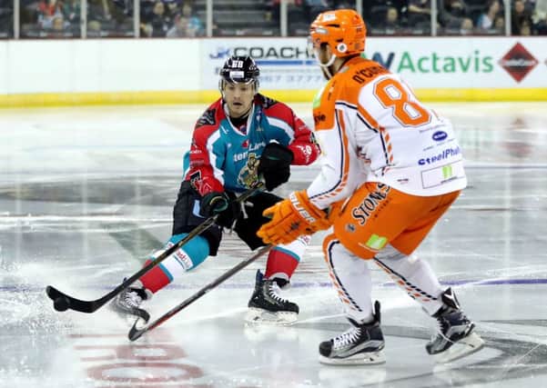 Sheffield Steelers' Ben O'Connor competes for the puck at the SSE Arena, Belfast.