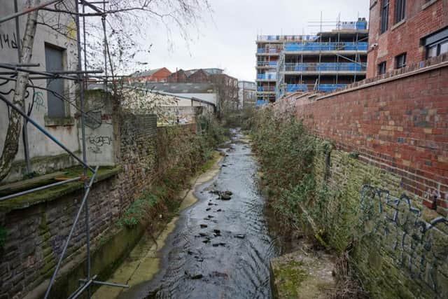 A new footpath will be created alongside the Porter Brook.