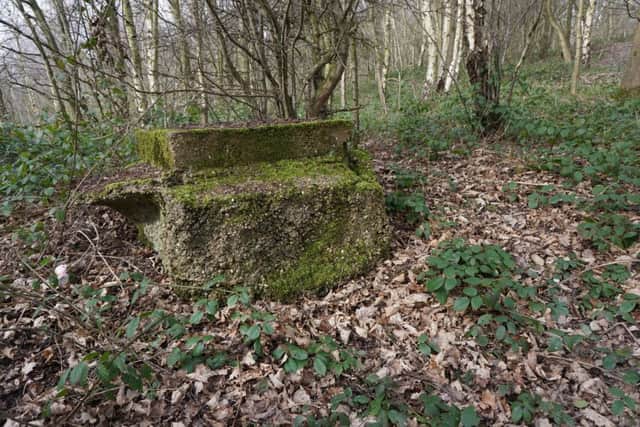 Evidence of old industrial use in Smithy Wood.