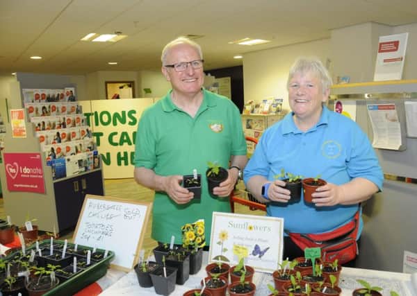 Keith Dodson from Rotherham In Root and volunteer Sally Moffett. The sunflowers, nurtured by youngsters from Eastwood Village Primary School in Rotherham and Rotherham in Root members, are being sold to raise money for another Purple Butterfly Room at Rotherham Hospital.