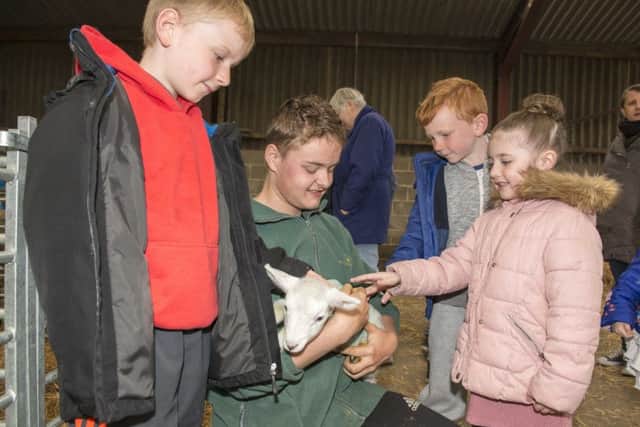 Lambing live at Whirlow Hall Farm
youngsters meeting some of the new arrivals