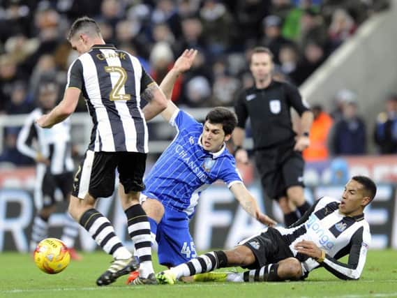 Fernando Forestieri in action during Sheffield Wednesday's 1-0 win over Newcastle United at St James' Park in December