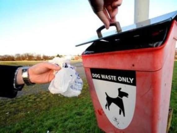 Some dog owners are not picking up after their pets