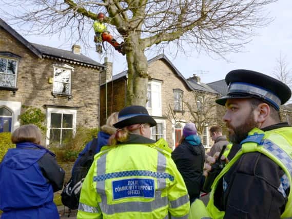 Police at a protest against tree-felling in Chippinghouse Road, Nether Edge, earlier this year
