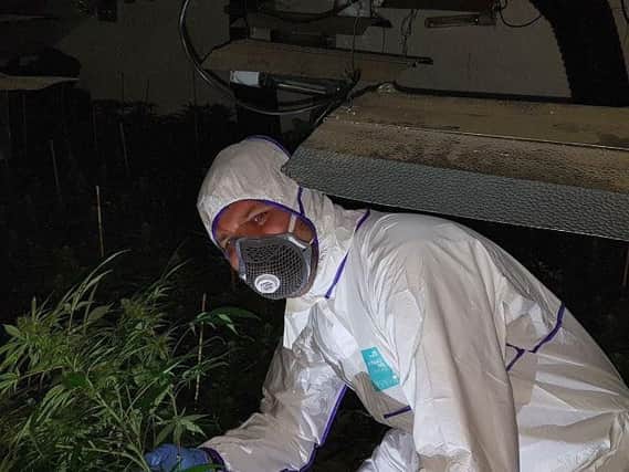 The plants were seized in Rotherham,