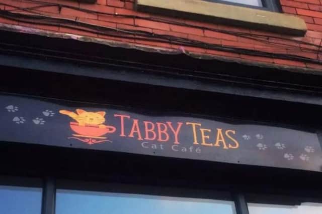 Tabby Teas (s)