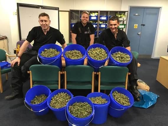 Rotherham Central Local Policing Team with the cannabis haul.