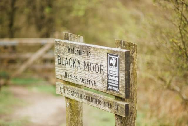 Blacka Moor. Photo: Helena Dolby