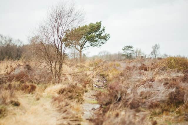 Blacka Moor is part of a site of special scientific interest. Photo: Helena Dolby