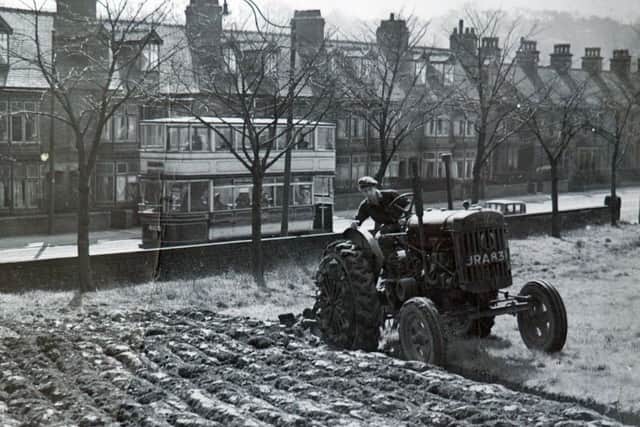 Nick Denniff's dad Michael ploughing in Millhouses in the 1940s