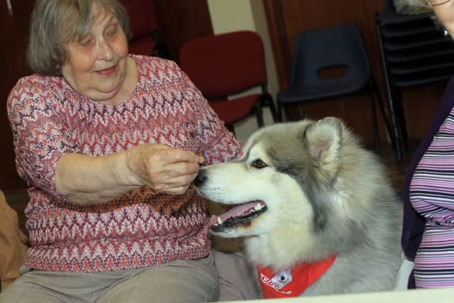 Adrian Ashworth and Thunder his husky visited the memory cafe for people with dementia at the Saint Thomas More Community Centre. Pictured is Linda Jaques with Thunder.