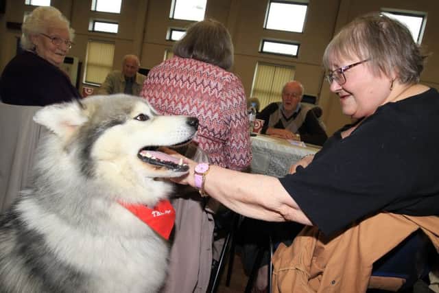 Adrian Ashworth and Thunder his husky visited the memory cafe for people with dementia at the Saint Thomas More Community Centre. Pictured is Mary Coupland with Thunder.