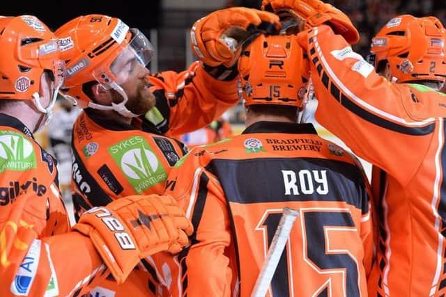 Sheffield Steelers: the new season is almost upon us