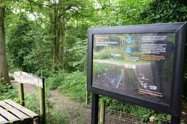 Run routes in Ecclesall Woods.