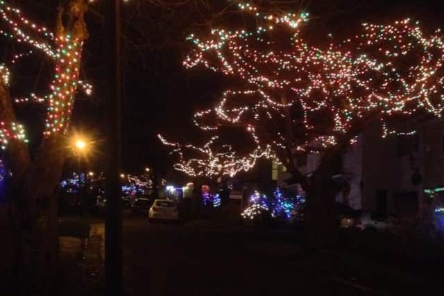 Tree protesters are set to hold a 'Christmas light vigil' tomorrow in a bid to save Sheffield trees they say have been famed for their 'light show' for three decades, that now face the axe as part of a council programme to remove and replace thousands of trees across the city. Picture: Brett Flower.