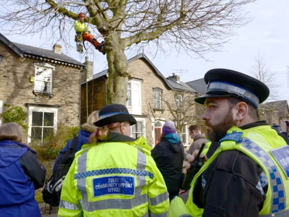 Police attend a tree-felling protest in Sheffield in February. Campaigners are now banned by a court order from standing directly under trees due to be felled. Pic: Marisa Cashill