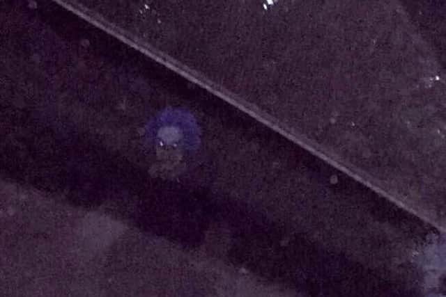 Logan Fox, of Norton Lees, spotted the'clown', dressed all in black and with a creepy purple mask, as he was driving down Matthews Lane, Graves Park at around 8.30pm last night. Picture: Logan Fox