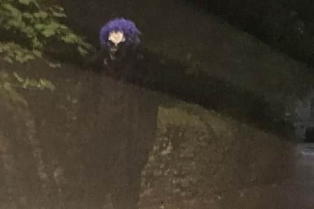 Logan Fox, of Norton Lees, spotted the'clown', dressed all in black and with a creepy purple mask, as he was driving down Matthews Lane, Graves Park at around 8.30pm last night. Picture: Logan Fox