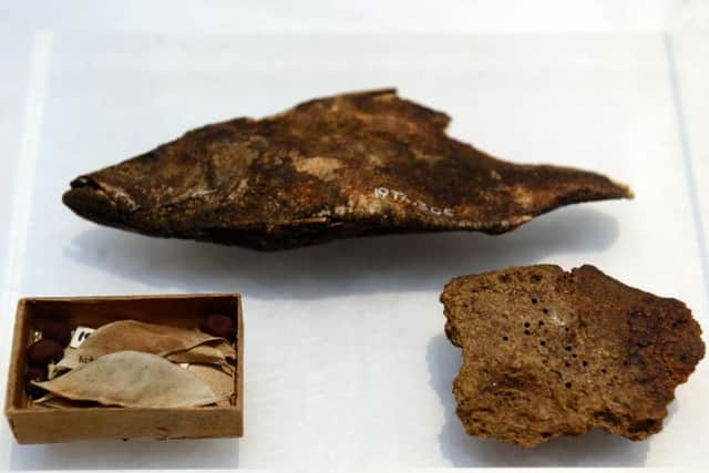 World's oldest fish supper - a Nile perch fish, mushy peas and bread dated at 3,500 years old. Photos: Scott Merrylees.