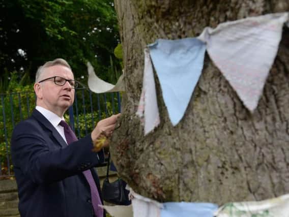 Michael Gove inspects a tree on Kenwood Road yesterday. Pic: Scott Merrylees