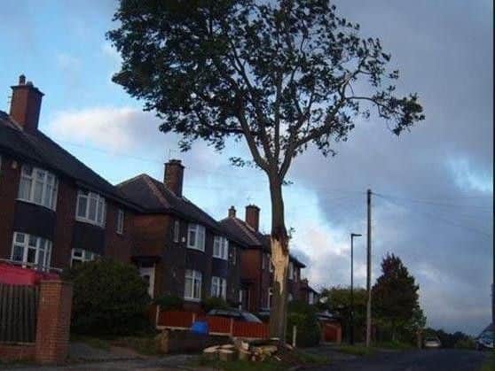 Storm Aileen damaged a number of trees in the city.