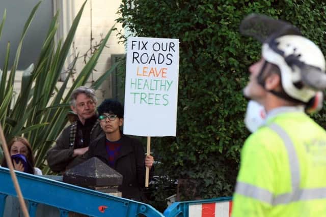 Tree campaigners will gather in Sheffield city centre tomorrow.