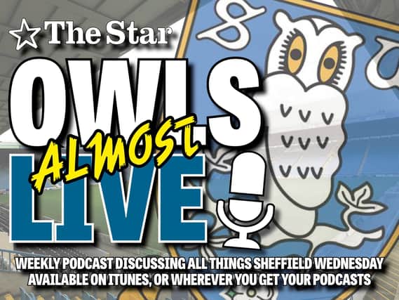 Owls (Almost) Live